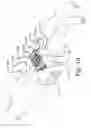 Fig. 11 - Fecal disposal device