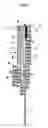 Fig. 04 - Absorbent article