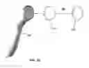 Fig. 29 - PHOTOCOSMETIC DEVICE