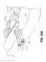 Fig. 40 - Method and apparatus for enhanced delivery of treatment device to the intervertebral disc annulus