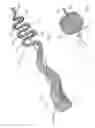Fig. 04 - Intragastric device for treating obesity