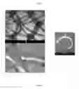 Fig. 06 - Temporarily stiffened mesh prostheses