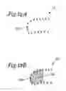 Fig. 16 - Embolic filters having multiple layers and controlled pore size