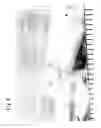 Fig. 08 - Cuff member