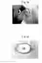 Fig. 15 - Cuff member