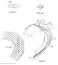 Fig. 52 - Delivery system and method for self-centering a Proximal end of a stent graft