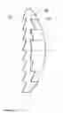 Fig. 05 - Intraocular lens device for the improvement of vision in case of retinal diseases