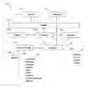 Fig. 01 - Automatic creation and identification of biochemical pathways