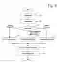 Fig. 07 - Automatic creation and identification of biochemical pathways