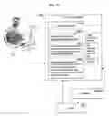 Fig. 16 - Computational systems and methods relating to ameliorating an immune system
