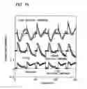 Fig. 16 - Variation simulation system