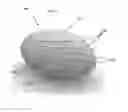 Fig. 03 - Plurality of Stackable Dishware