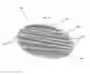 Fig. 06 - Plurality of Stackable Dishware