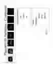 Fig. 85 - Systems and methods for managing and distributing media content