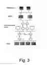 Fig. 04 - Method and system for conducting a block auction