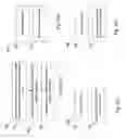 Fig. 10 - Support for object search
