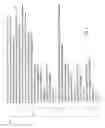 Fig. 12 - Support for object search