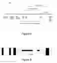 Fig. 05 - Digital data broadcasting