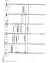 Fig. 12 - Distributed and decentralized document management system and method