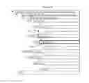 Fig. 16 - Calculation expression management