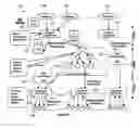 Fig. 01 - Scalable Content Based Event Multicast Platform