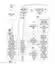 Fig. 06 - Web based client/server notification engine