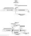 Fig. 06 - Apparatus and method for operating flash memory according to priority order