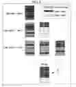 Fig. 02 - Method and apparatus for managing blocks according to update type of data in block-type memory