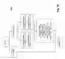 Fig. 11 - Automatic caching generation in network applications
