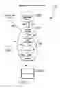 Fig. 05 - SYSTEM AND METHOD FOR THE PRODUCTION OF PRESENTATION CONTENT DEPICTING A REAL WORLD EVENT
