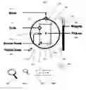 Fig. 01 - Graphical user interface with zoom for detail-in-context presentations
