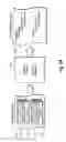 Fig. 03 - Simultaneous API exposure for messages