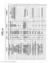 Fig. 07 - Method and apparatus for signaling transmission code set in data broadcasting