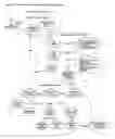 Fig. 08 - Broadband network security and authorization method, system and architecture