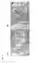 Fig. 07 - Transgenic nonhuman mammal representing the pathologic conditions of human rheumatoid arthritis