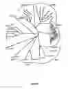 Fig. 02 - Plants Having Modified Growth Characteristics And Method For Making Same