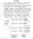 Fig. 03 - Methods for producing hybrid seed