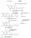 Fig. 01 - Compositions and Methods for Altering Alpha- and Beta-Tocotrienol Content