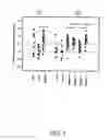 Fig. 04 - Nucleic acid molecules encoding wrinkled1-like polypeptides and methods of use in plants
