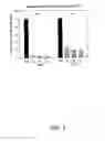 Fig. 06 - Nucleic acid molecules encoding wrinkled1-like polypeptides and methods of use in plants