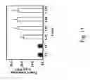 Fig. 28 - gene and its use in manipulating carotenoid content and composition in plants and other organisms