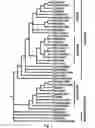 Fig. 02 - Early flowering in genetically modified plants
