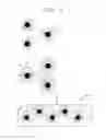 Fig. 03 - Nanocomposite material and method of manufacturing the same comprising forming an inorganic matrix by sol-gel reaction