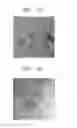 Fig. 06 - Nanocomposite material and method of manufacturing the same comprising forming an inorganic matrix by sol-gel reaction