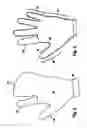 Fig. 06 - Endoscopy glove