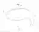 Fig. 06 - Ear Protection Device
