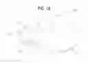 Fig. 14 - Ear Protection Device