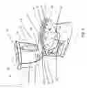 Fig. 05 - Hygienic high detergency toilet