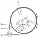 Fig. 01 - Drum for clothes dryer