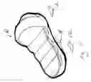 Fig. 06 - Shoe with an integrated storage module